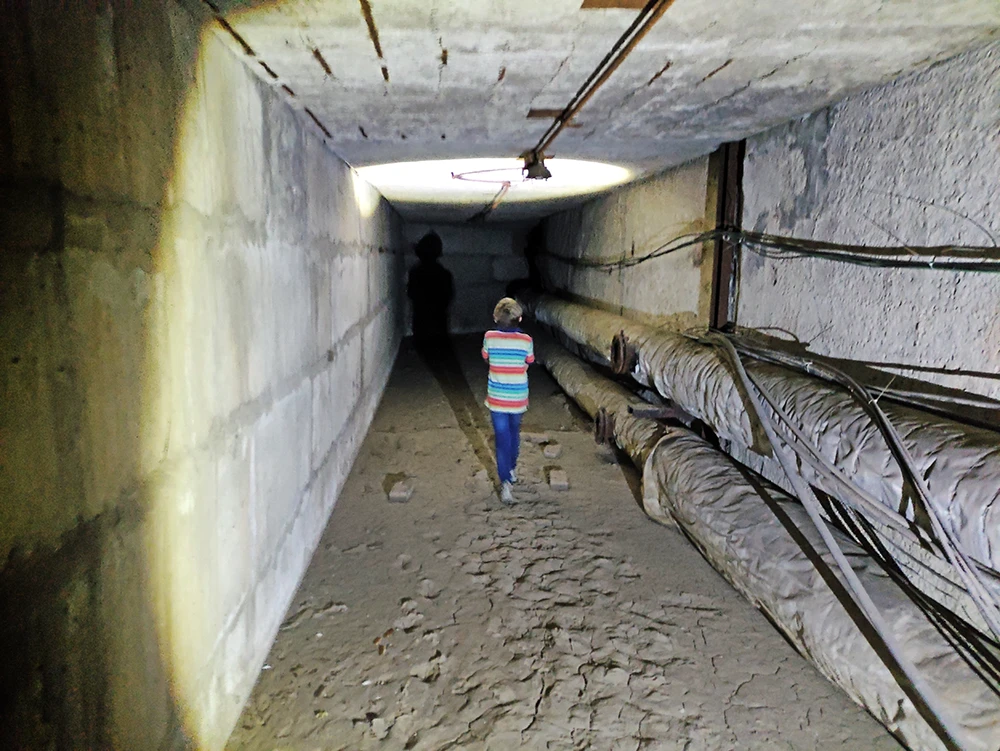 Водой сюда намыло грязи