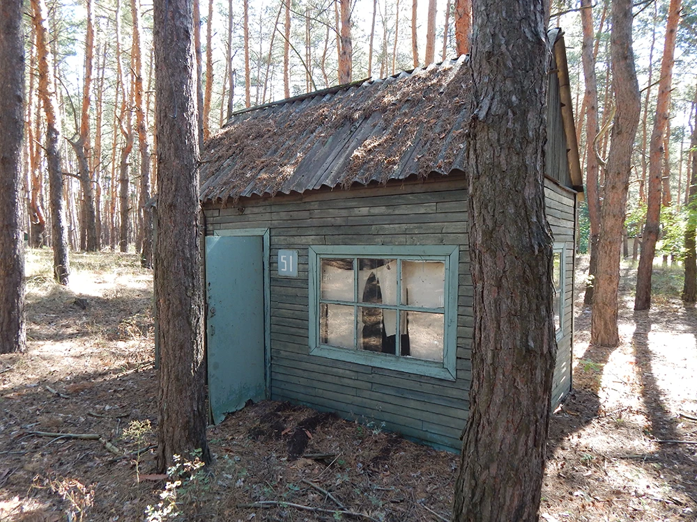 Домик 51