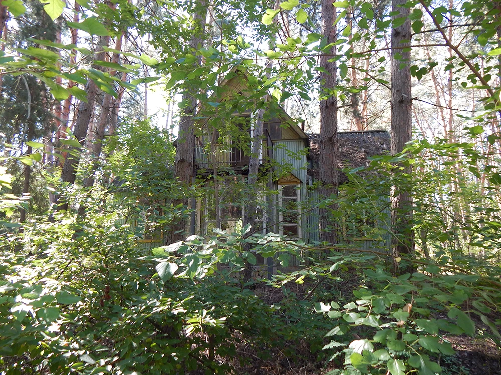 Двухэтажный дом с красивой гостинной