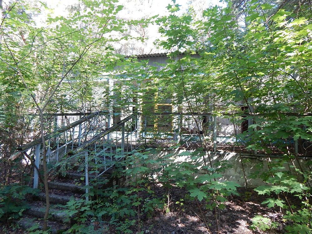 Вход в магазин с центральной улицы